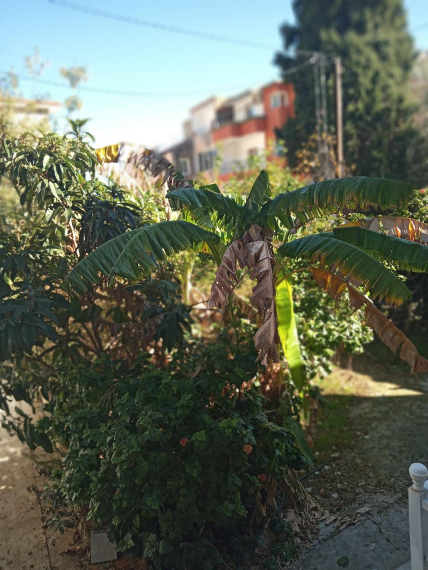 Maison De Vacances Tabarka Dış mekan fotoğraf