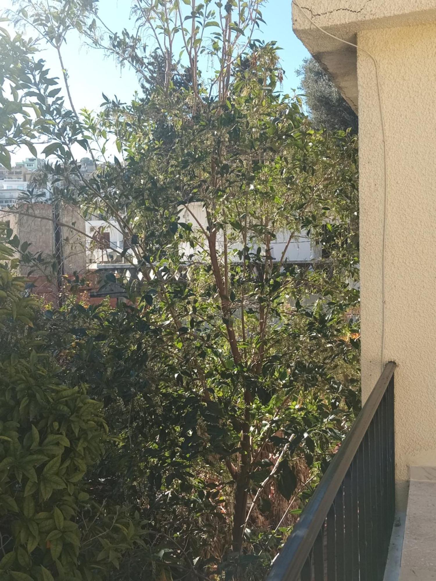 Maison De Vacances Tabarka Dış mekan fotoğraf